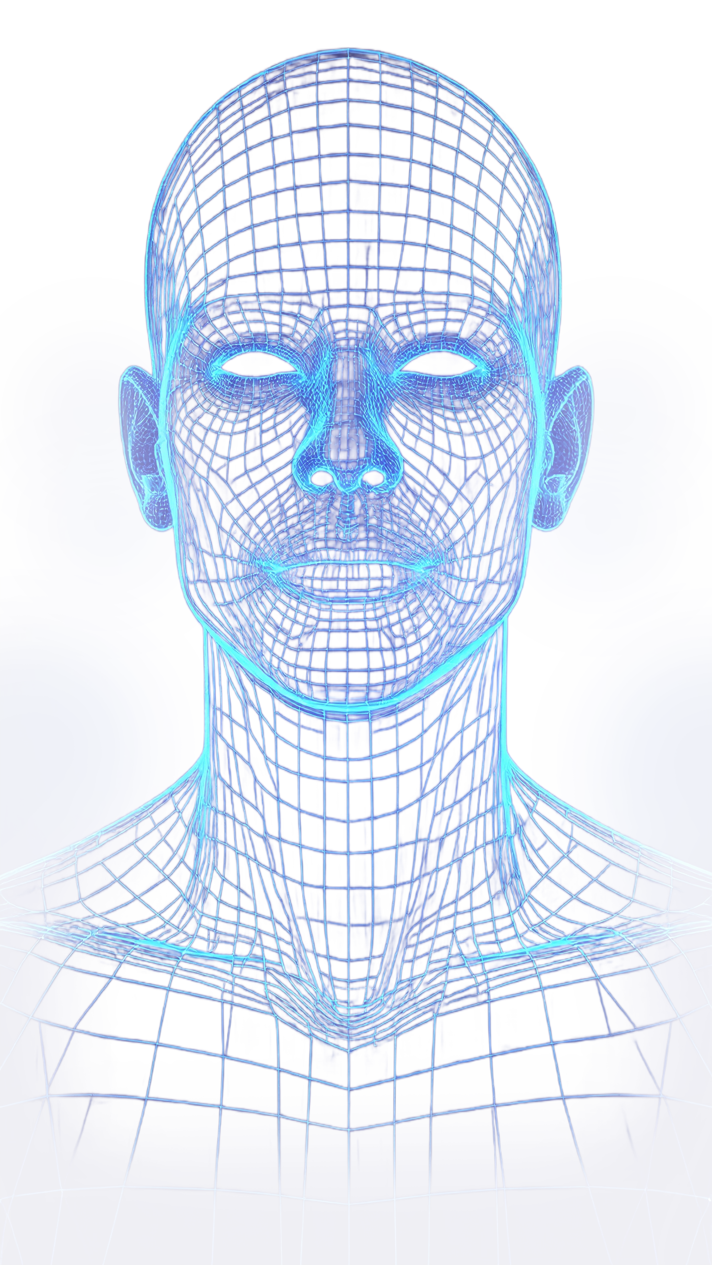 Scansione volto Wireframe